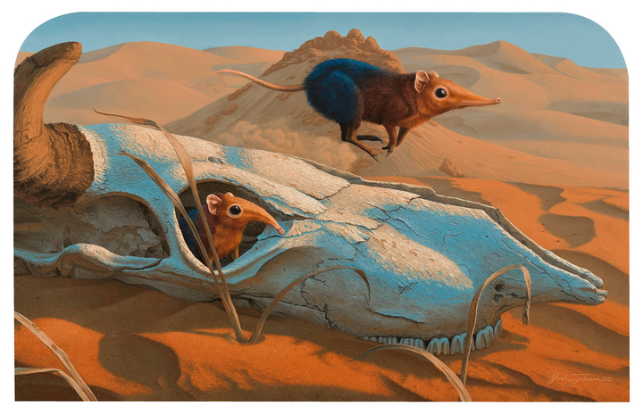 BAO PHAM, JOSH TIESSEN, KELOGSLOOPS & SASHA IRA Group Show THE GAMING OF THE SHREW