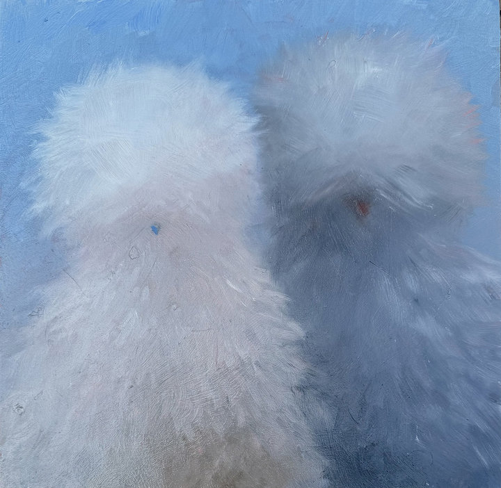 ART COLLECTOR STARTER KIT XI GROUP SHOW A COLLECTION OF 12" X 12" WORKS SKY SHADOW