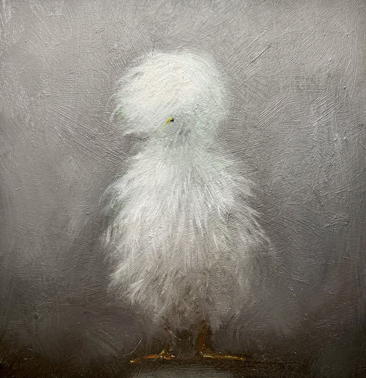 ART COLLECTOR STARTER KIT XI GROUP SHOW A COLLECTION OF 12" X 12" WORKS DIEGO