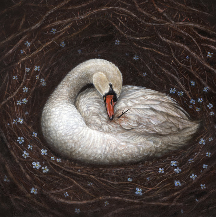 ART COLLECTOR STARTER KIT XI GROUP SHOW A COLLECTION OF 12" X 12" WORKS YOU MADE YOUR BED, NOW YOU MUST LIE IN IT