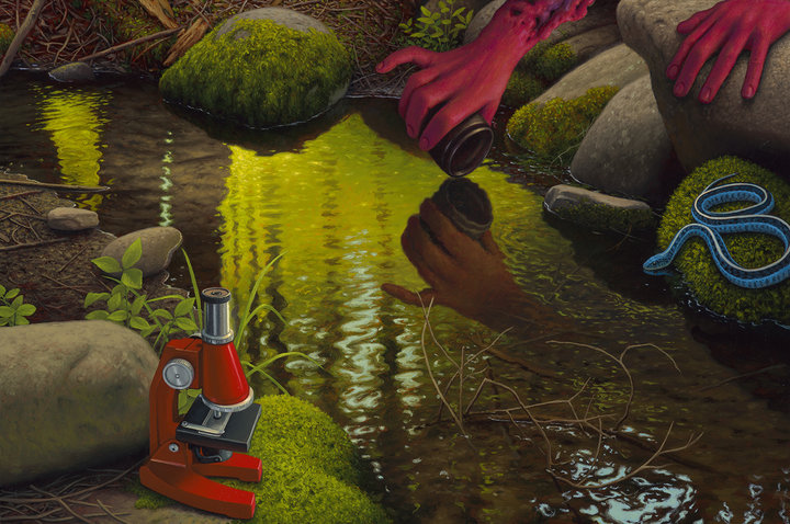 ADRIAN COX  The Well of Dreams SNAKE GARDENER'S STUDY