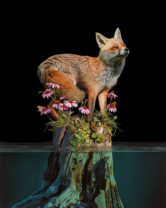 BOUND BY NATURE Lisa Ericson, Dena Seiferling & Yulia Pustoshkina EDGE OF NIGHT