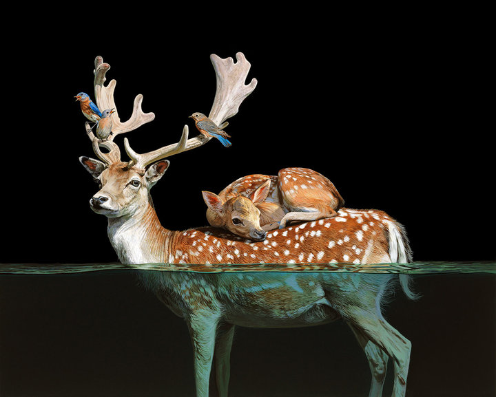 BOUND BY NATURE Lisa Ericson, Dena Seiferling & Yulia Pustoshkina MOTHER