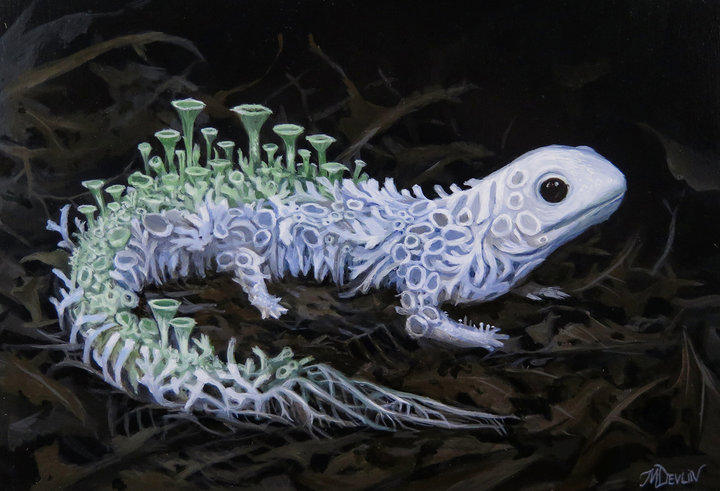 ORNÉLIE AND MOLLY DEVLIN Gallery 3 BLOOMING NEWT