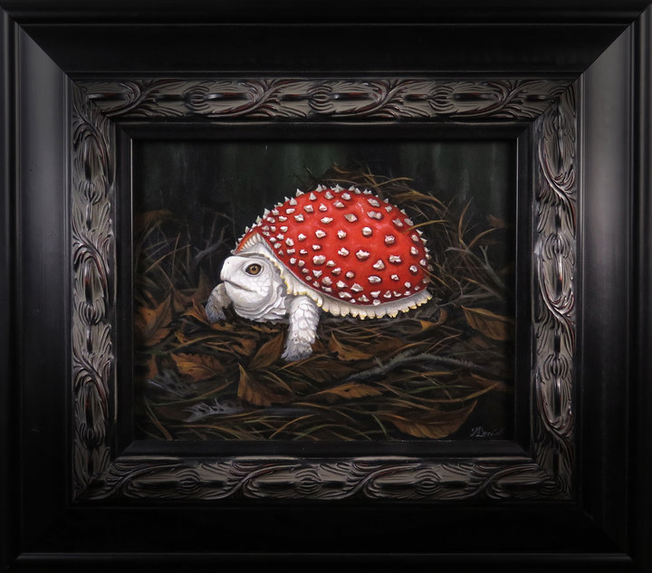 ORNÉLIE AND MOLLY DEVLIN Gallery 3 AMANITA TERRAPIN (FRAMED)