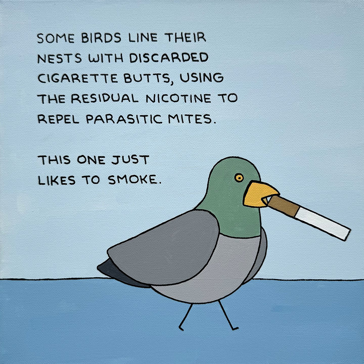 ART COLLECTOR STARTER KIT XI GROUP SHOW A COLLECTION OF 12" X 12" WORKS SOME BIRDS