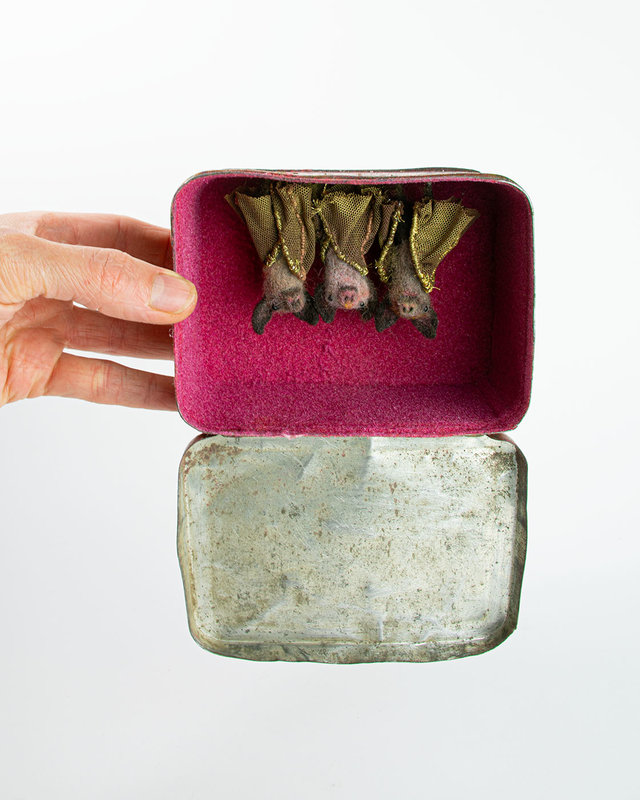 BOUND BY NATURE Lisa Ericson, Dena Seiferling & Yulia Pustoshkina THREE BATS